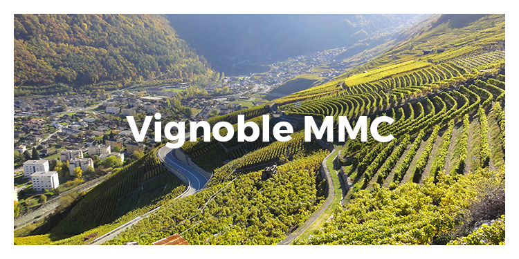 Vignoblemmc