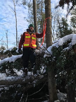 Délimitation de propriétés en milieu forestier avec marquage des arbres