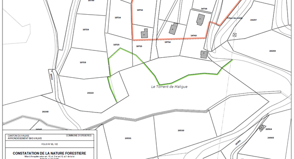 Mise à jour du cadastre forestier en prévision de la révision du plan de zones